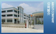 �ӱ���ˡ��ʢ�Cе�Ƽ����޹�˾���I(y��)���a(ch��n)�f��(li��n)�S��